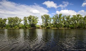 СамарскаяЛука2.jpg