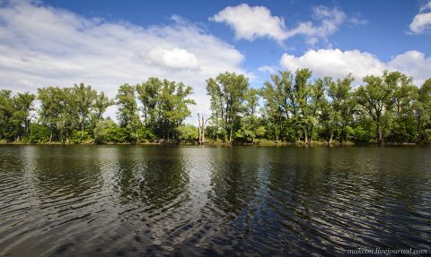 СамарскаяЛука2.jpg